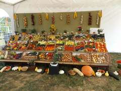 Nyitott pincék délutánja és helyi termények ünnepe