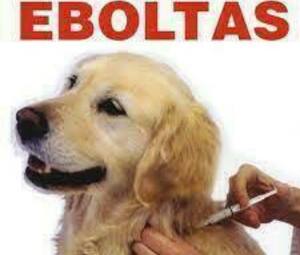 Eboltás